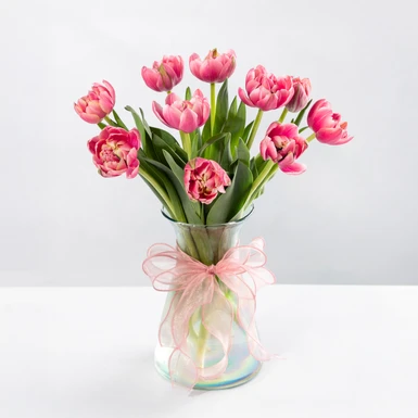 10 Tulipanes Coral en Jarrón  23359
