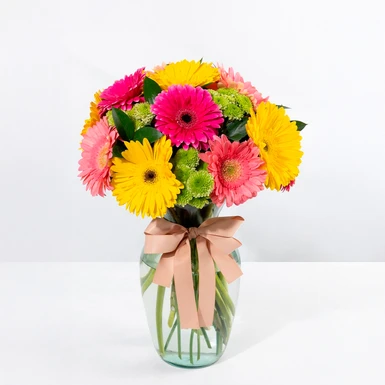 Gerberas de Colores 23450
