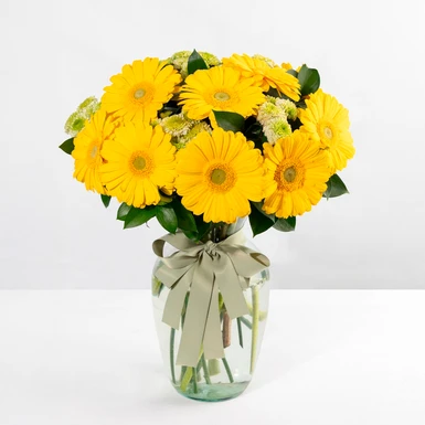 Arreglo de 10 Gerberas Amarillas	 23564