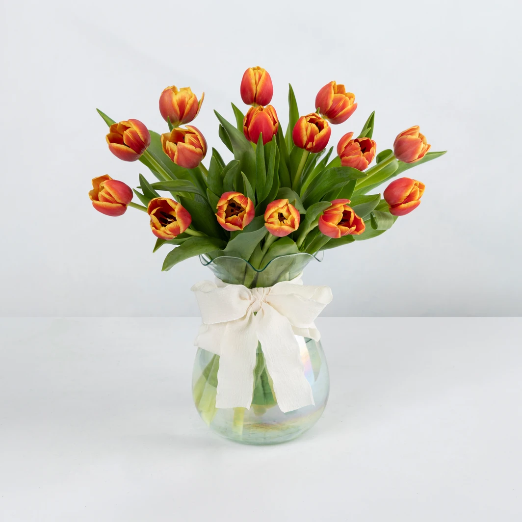 15 Tulipanes Bicolor en Jarrón 23709