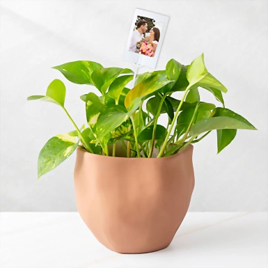 Personaliza con Mini Foto Planta de la Fortaleza 23906