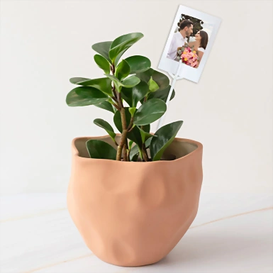 Personaliza con Mini Foto Planta del Éxito 23907