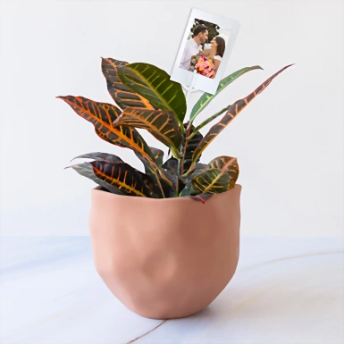 Personaliza con Mini Foto Planta de la Buena Energía 23908