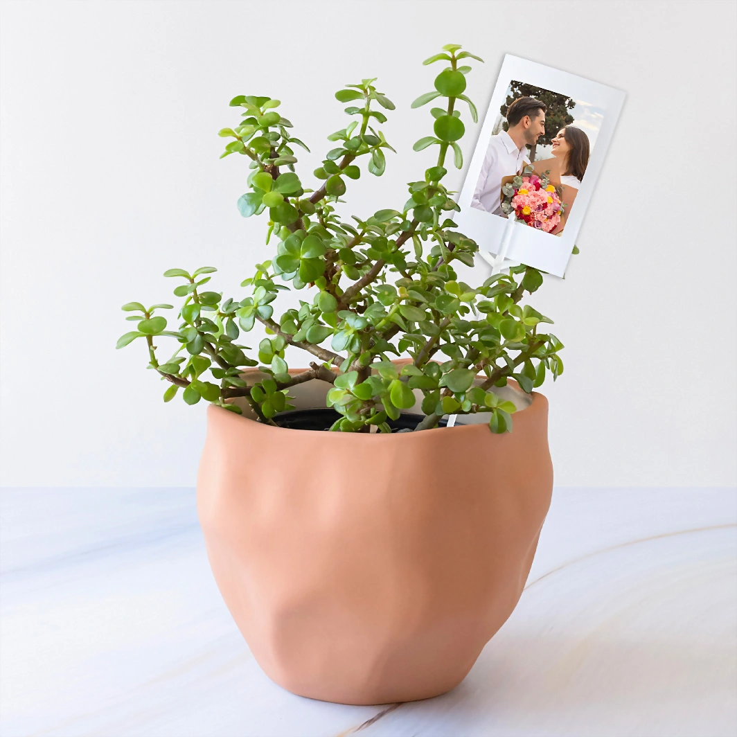 Personaliza con Mini Foto con Árbol de la Abundancia 23912