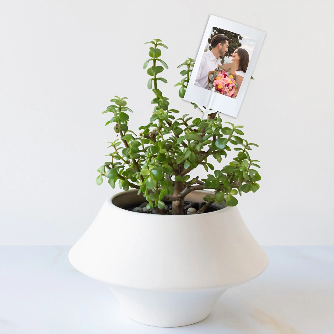 Personalize with a Mini Photo with the Tree of Abundance 23917