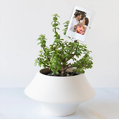 Personaliza con Mini Foto con Árbol de la Abundancia 23917