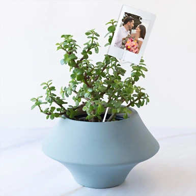 Personaliza con Mini Foto con Árbol de la Abundancia 23918