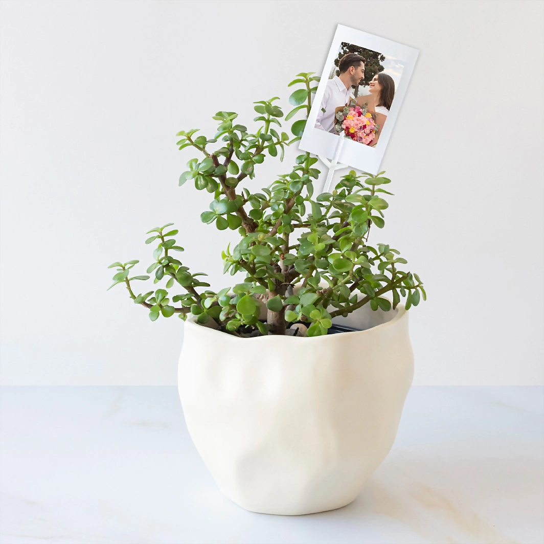 Personaliza con Mini Foto con Árbol de la Abundancia 23919