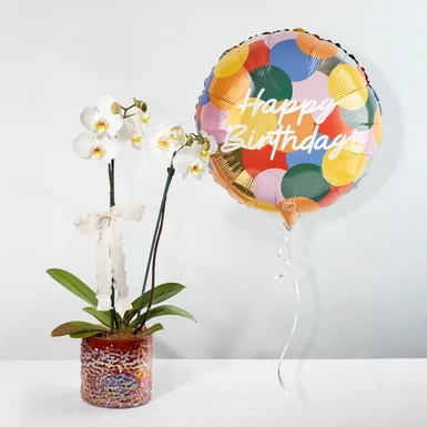 Orquídea blanca con Globo ''Happy Birthday'' de Colores 23920