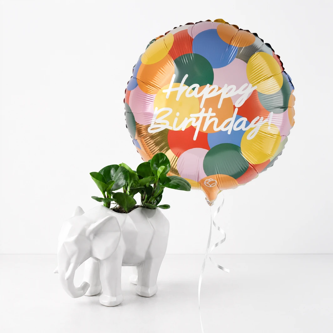 Planta del Éxito con Globo "Happy Birthday" Colores 23941