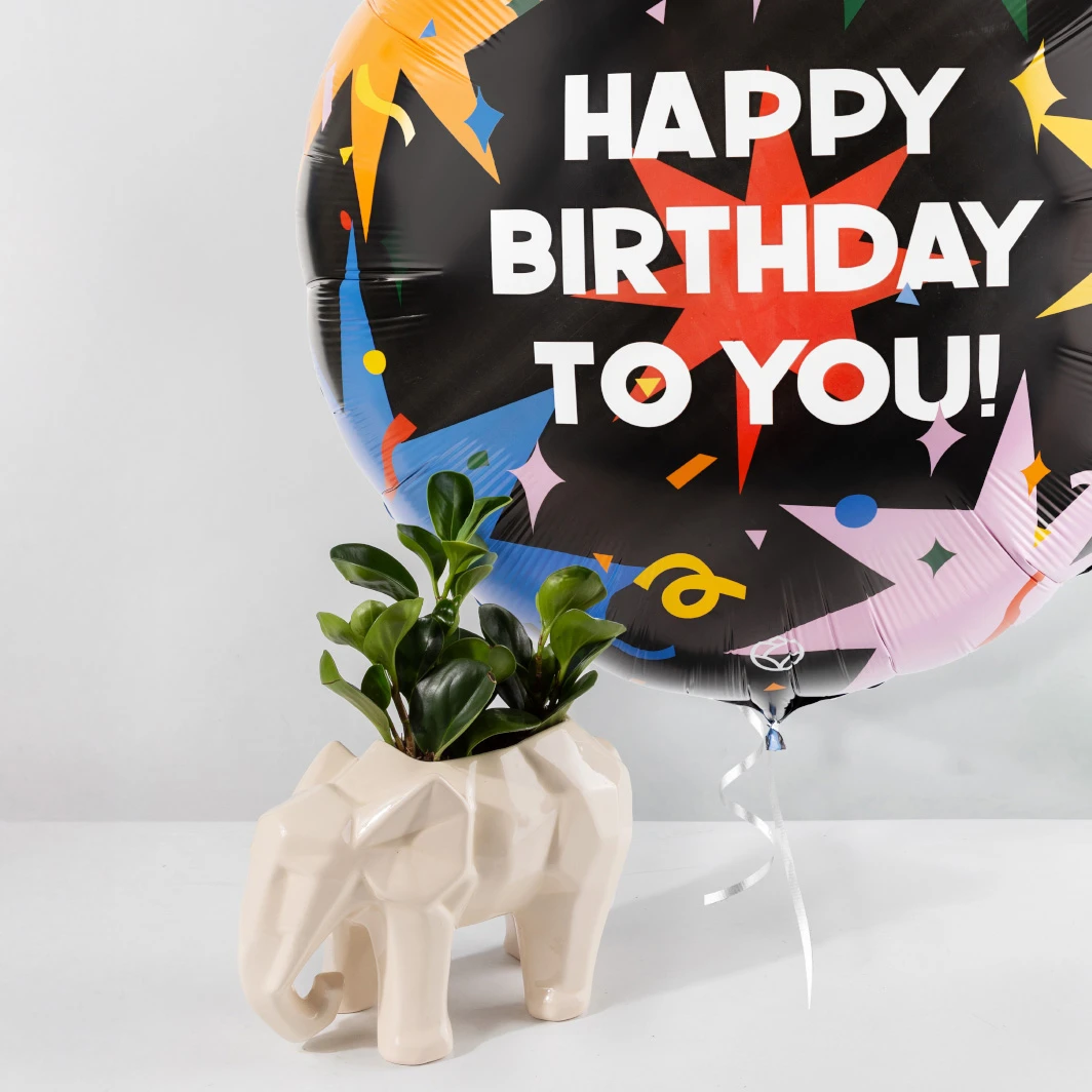 Planta del Éxito con Globo "Happy Birthday" Gigante 23942