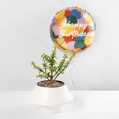 Tree of abundance with colorful "Happy Birthday" balloon 23943