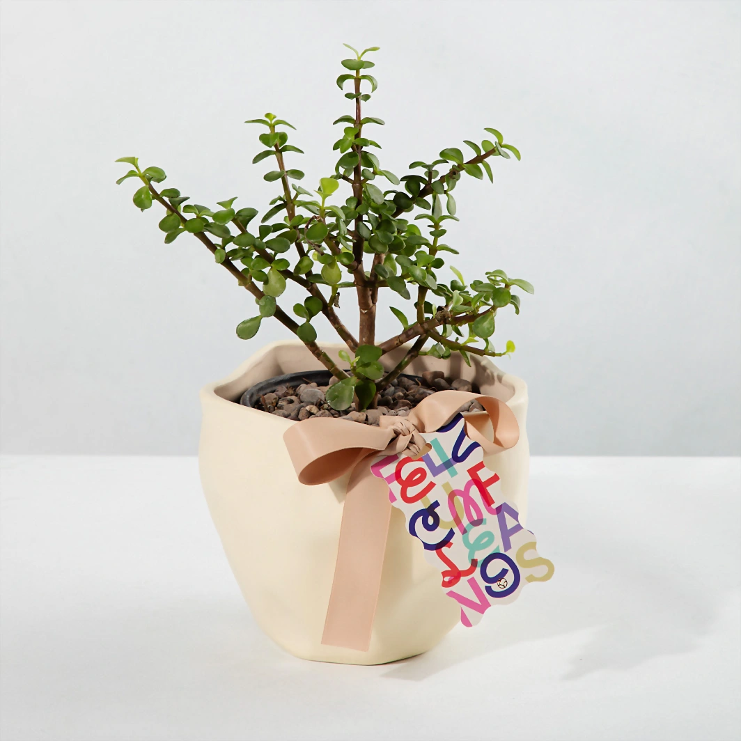 Tree of Abundance with "Feliz Cumpleaños" Tag 23971