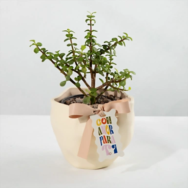 Árbol de la Abundancia con Distintivo "Con Amor Para Ti" 23972
