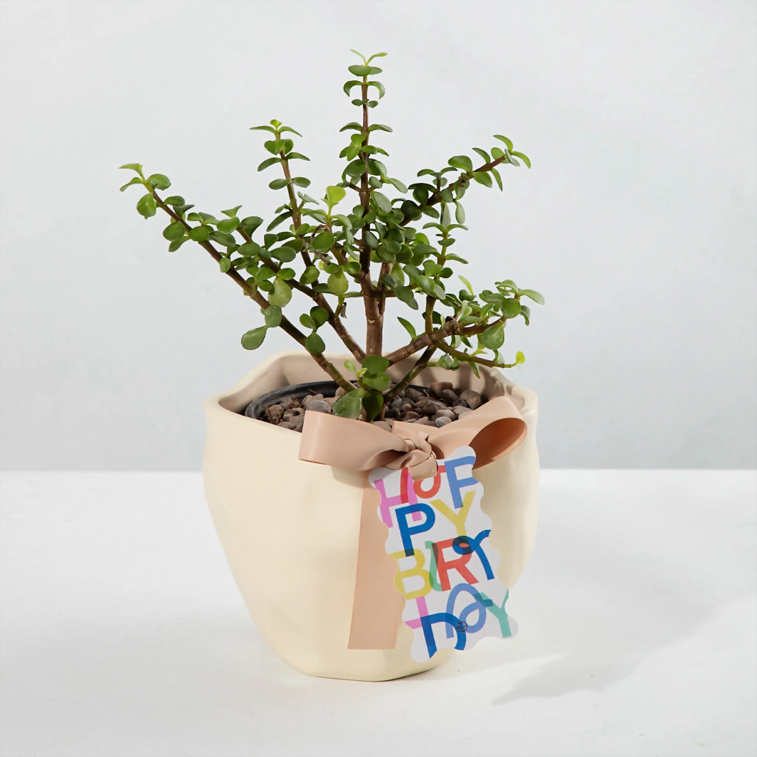 Árbol de la Abundancia con Distintivo "Happy Birthday" 23973