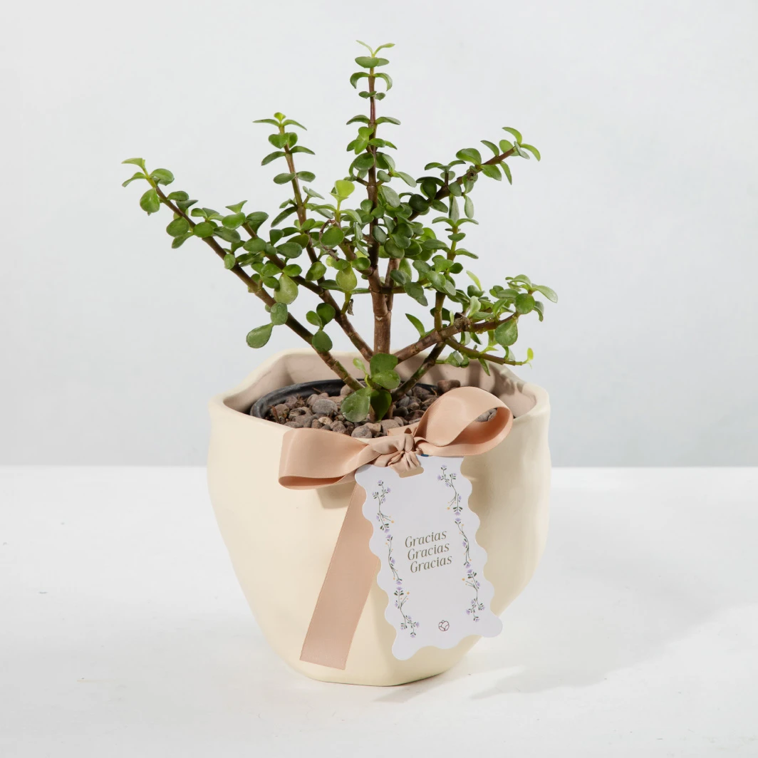 Árbol de la Abundancia con Distintivo "Gracias Gracias Gracias" 23974