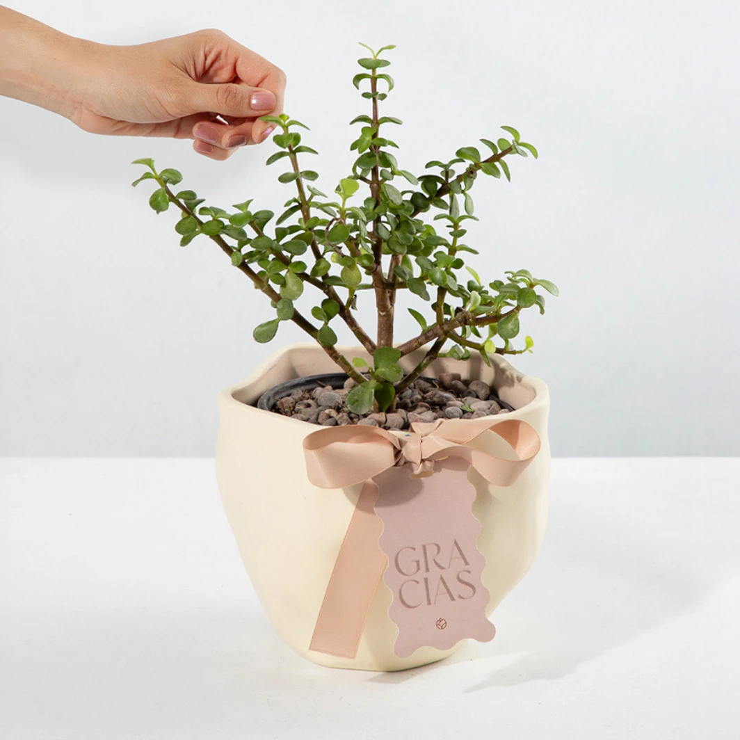 Árbol de la Abundancia con Distintivo "Gracias" 23975