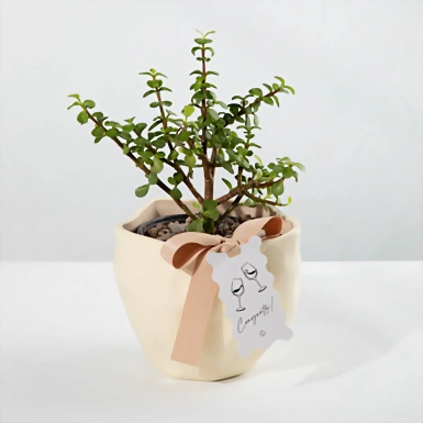 Árbol de la abundancia con Distintivo "Congrats" 23976