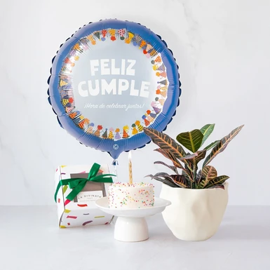 Pastel Cumpleaños con Planta y Globo 23984