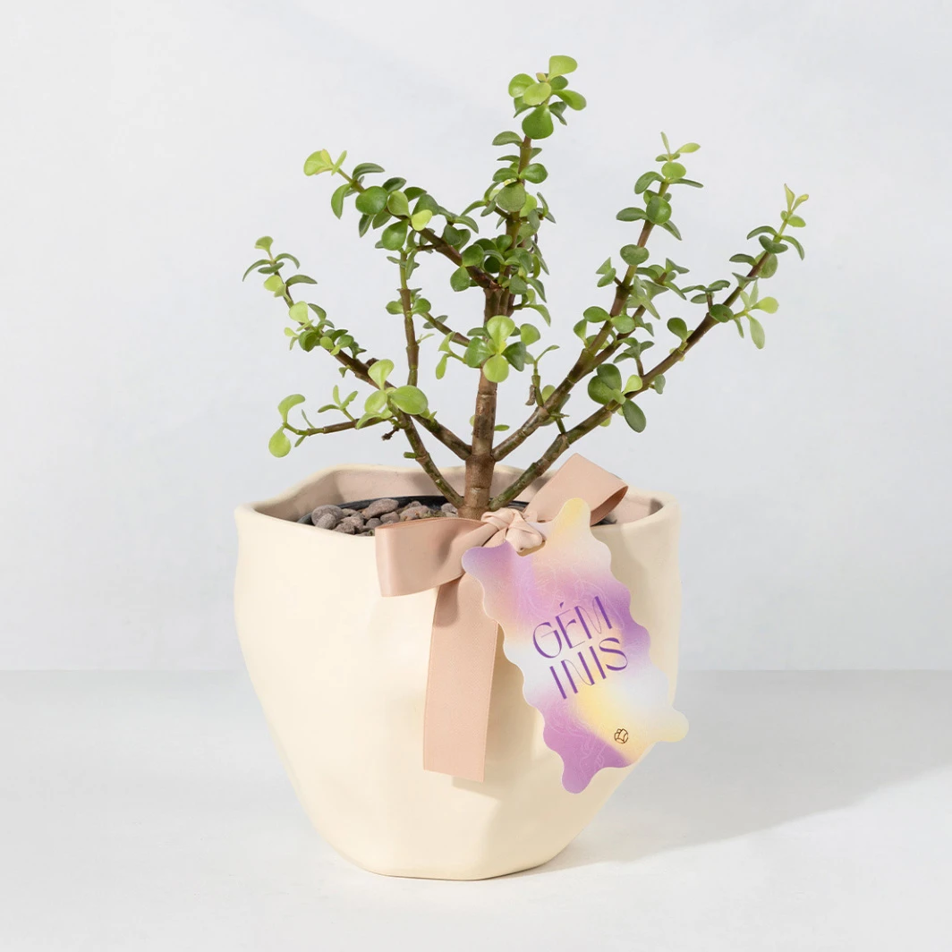 Árbol de la abundancia con Distintivo "Géminis" 24053