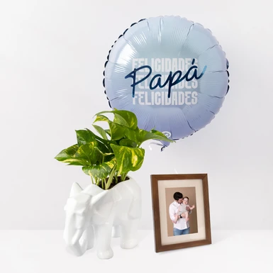 Planta Fortaleza con Marco Personalizado y Globo 24140