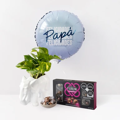Combo Chocolates con Globo y Planta 24216