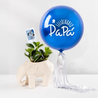 Personaliza Planta Exito con Globo 24244