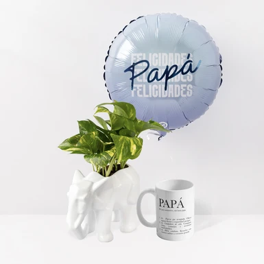 Personaliza taza "Definición de papá" con planta y globo 24299