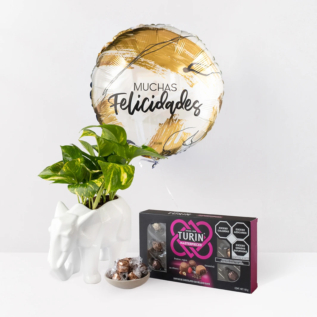 Combo Chocolates con Globo y Planta 24387