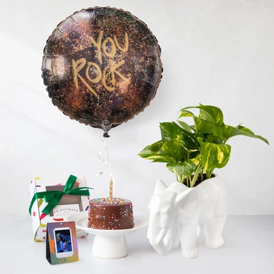 Kit Cumpleaños Planta, Mini Pastel Chocolate, Globo y Polaroid 24534