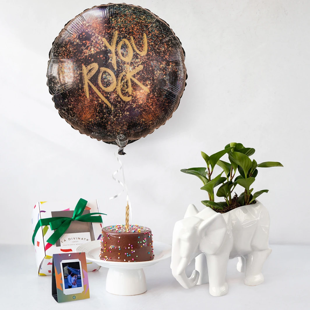 Kit Cumpleaños Planta, Mini Pastel Chocolate, Globo y Polaroid 24534