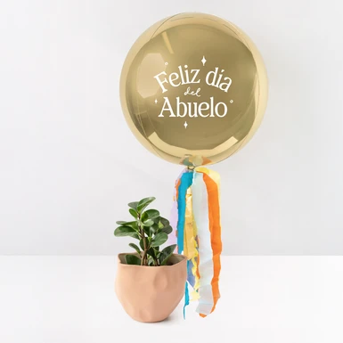 Planta del Éxito en Maceta con Globo Esfera Abuelos  24549