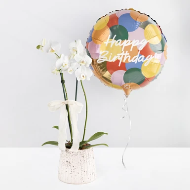 Orquídea Blanca en Maceta de Cerámica y Globo "Happy Birthday 24670