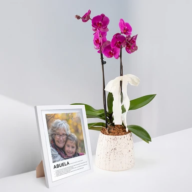 Orquídea Morada con Marco Abuela 24676
