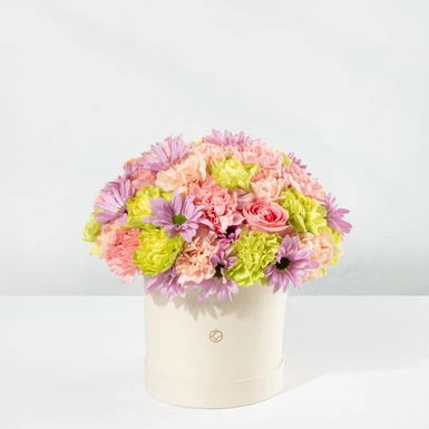Arreglo de Margaritas Lila y Claveles Rosa 24698