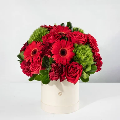 Arreglo de Gerberas y Rosas Rojas 24699