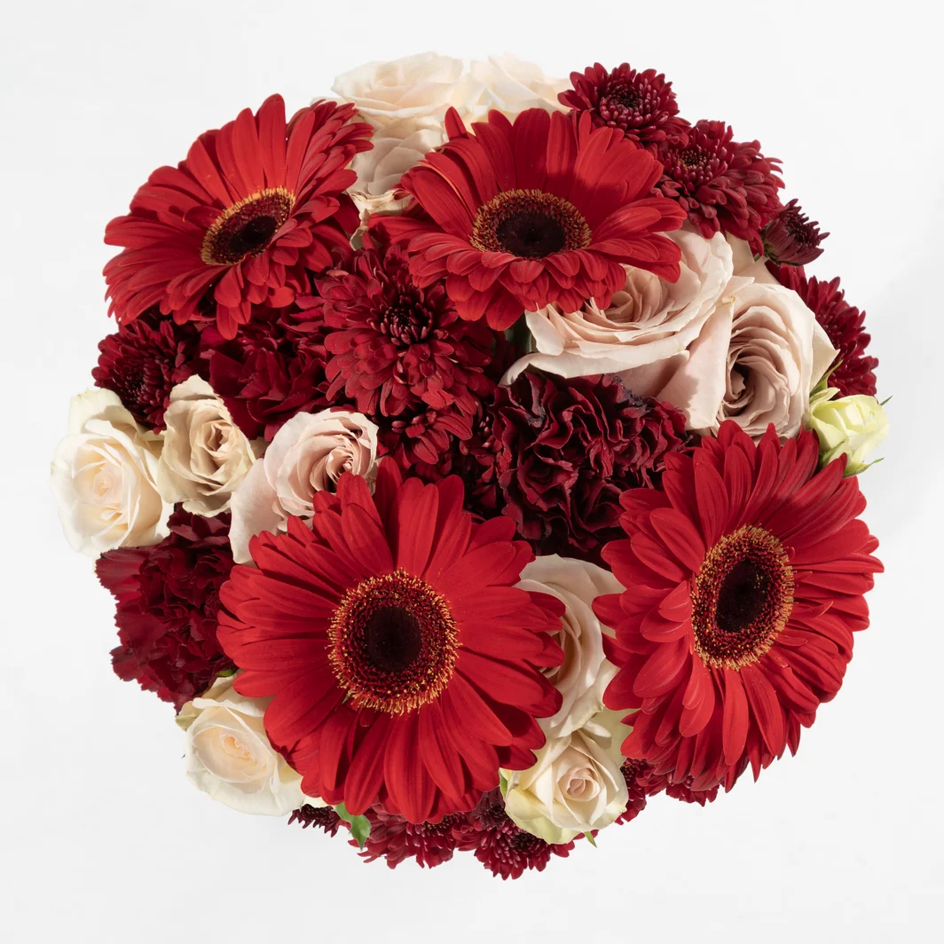 Ramo de Gerberas y Claveles Rojos 24704