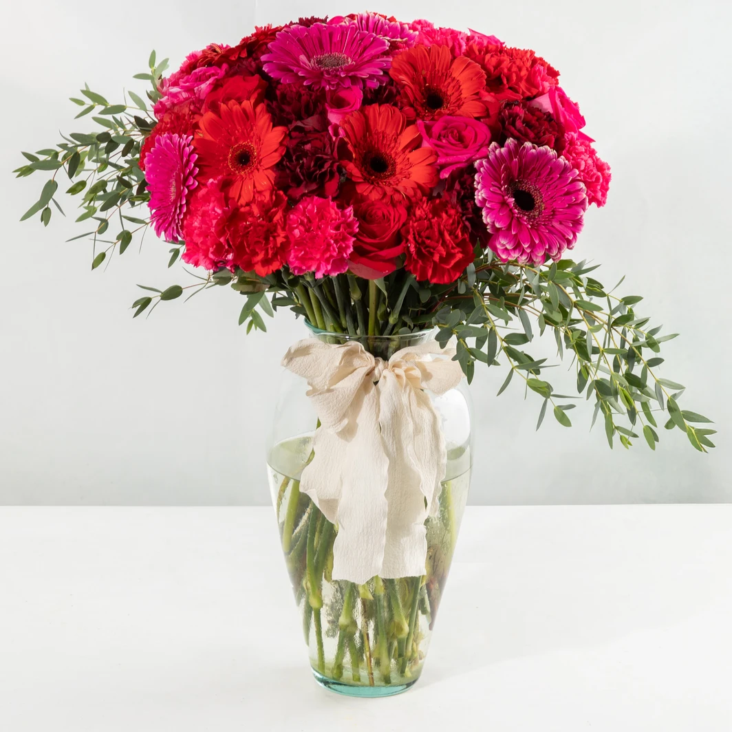 Arrangement of Red Gerberas and Fuchsia 24713