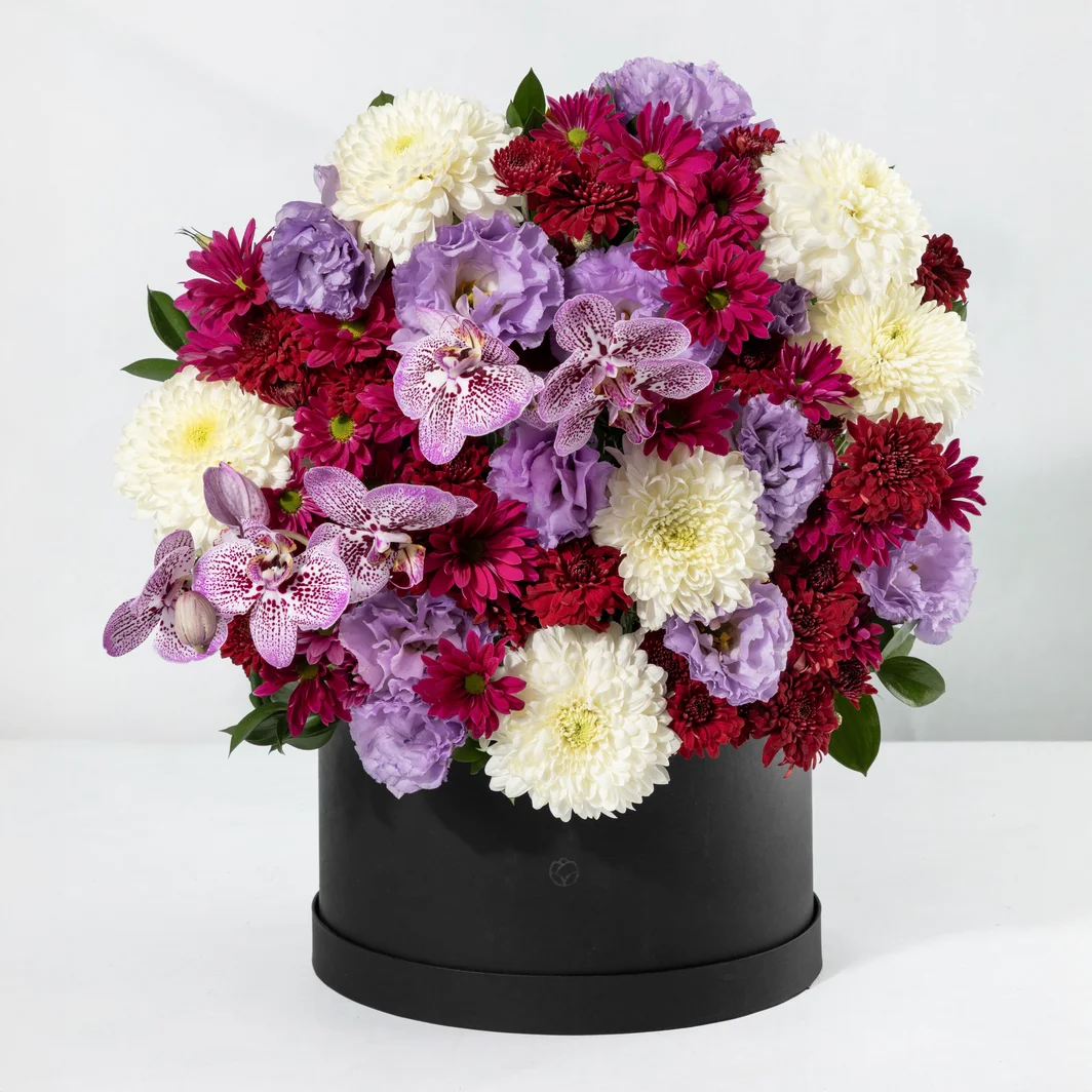 Arreglo de Margaritas y Orquídea Morada 24725