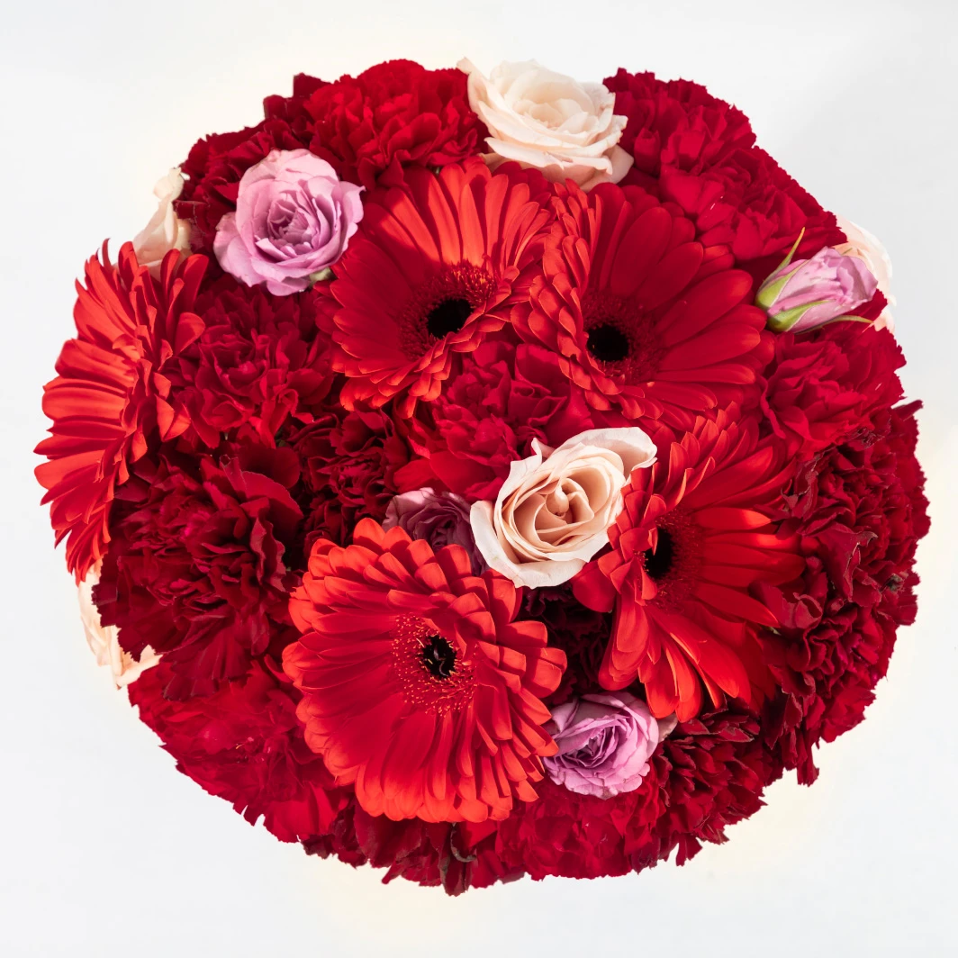Kiss Bouquet with Red Gerberas and Carnations 24746