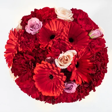 Bouquet of Gerberas and Red Carnations 24746