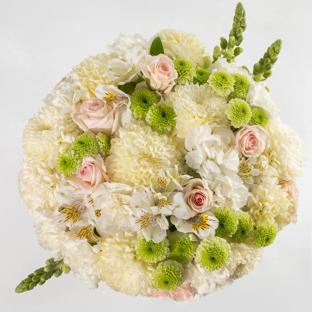 Ramo de Claveles Blancos y Margaritas 24890