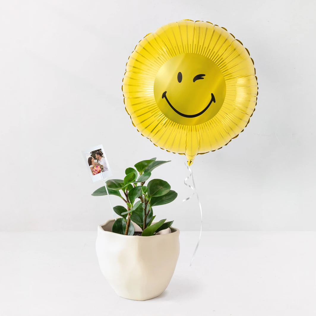 Planta con Foto Personalizada y Globo SMILEYWORLD® 24938