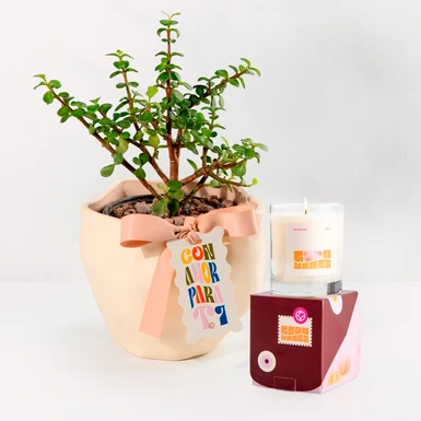 Kit Abundancia y Good vibes 24946