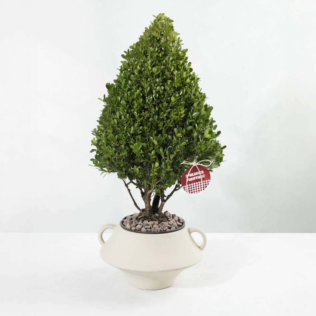 Pino de Navidad con Distintivo "Felices Fiestas" 24968