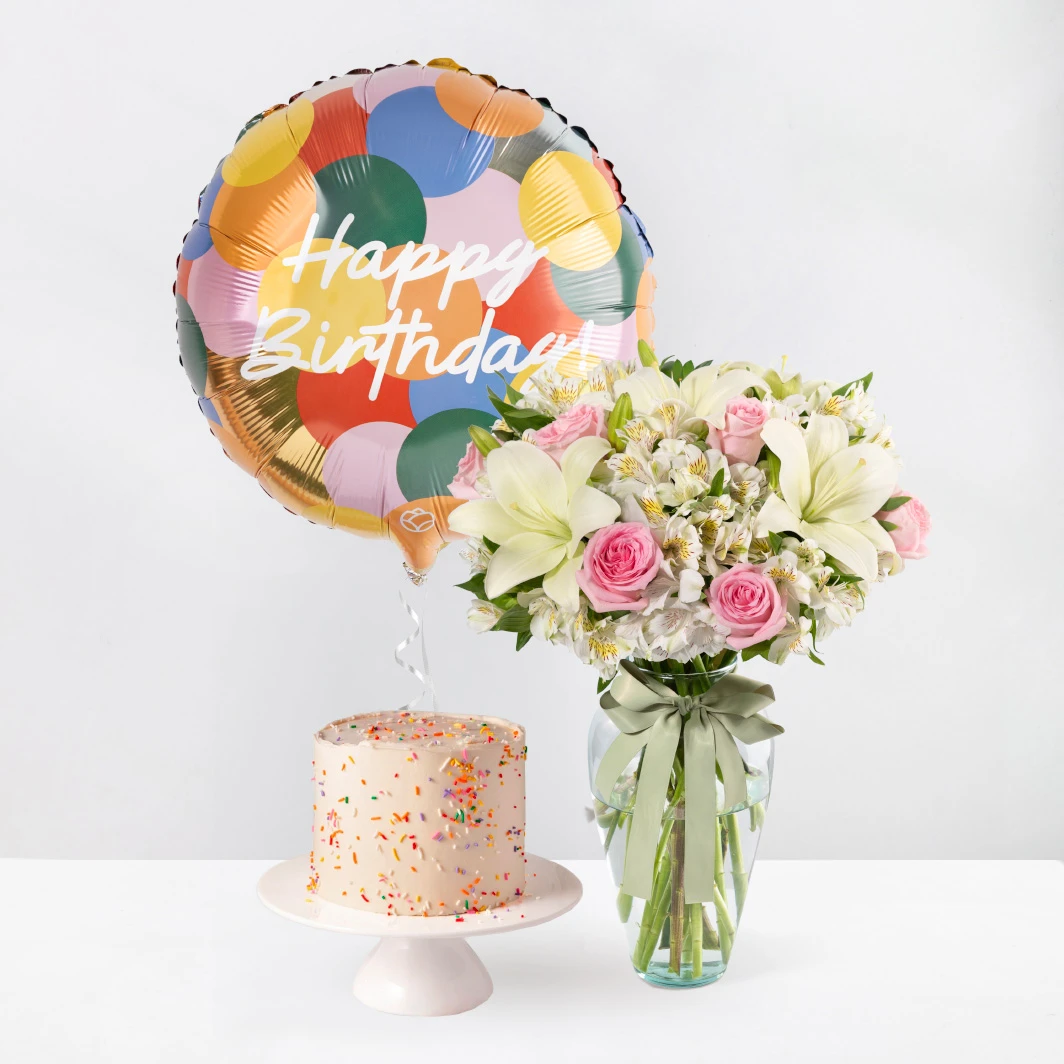 Lilys Birthday Kit and Baikings Vanilla Cake 25091