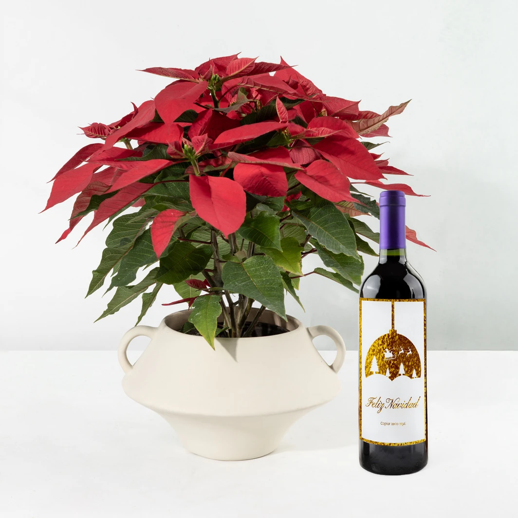 Nochebuena con Vino Personalizado 25499