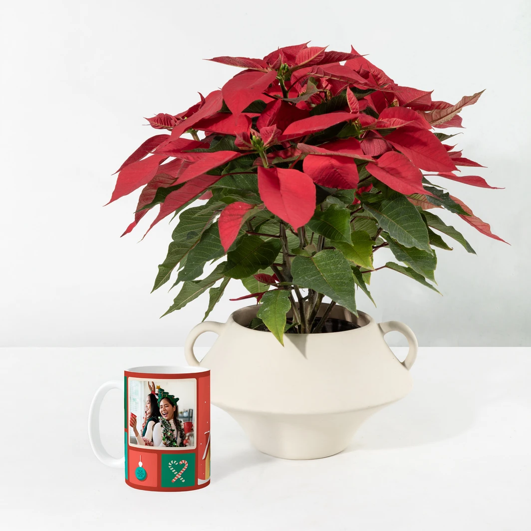 Nochebuena con Taza Personalizada 25500