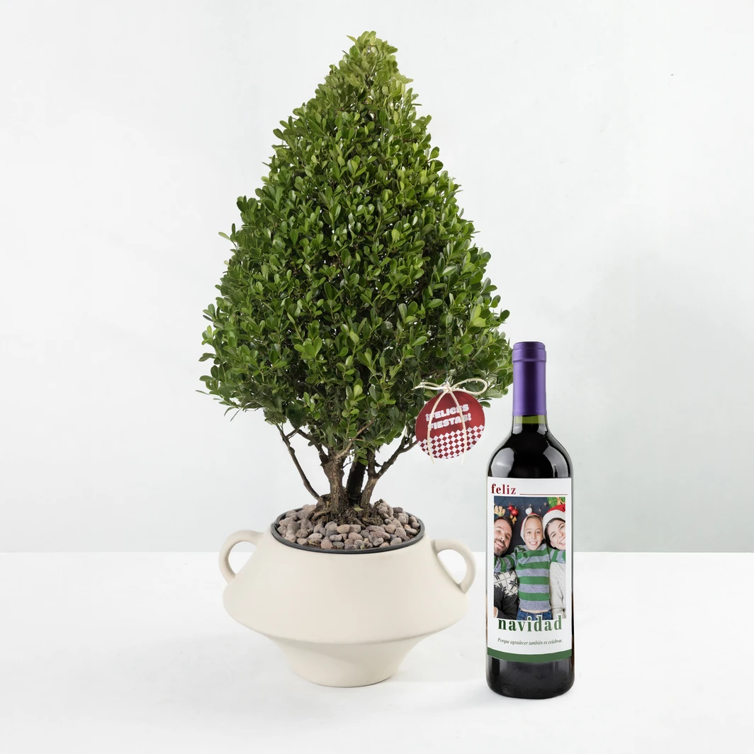 Christmas Tree with Personalized Wine 25502