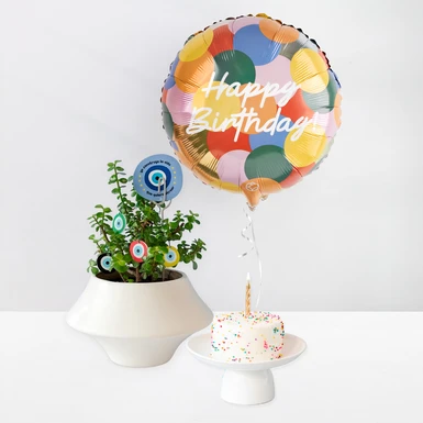 Good Vibes Plant with La Divinata Birthday Cake and "Happy Birthday" Balloon 25635